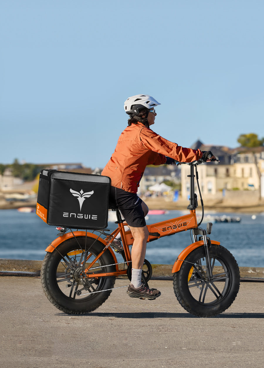 bicicleta electrica engwe argentina ep 2 pro