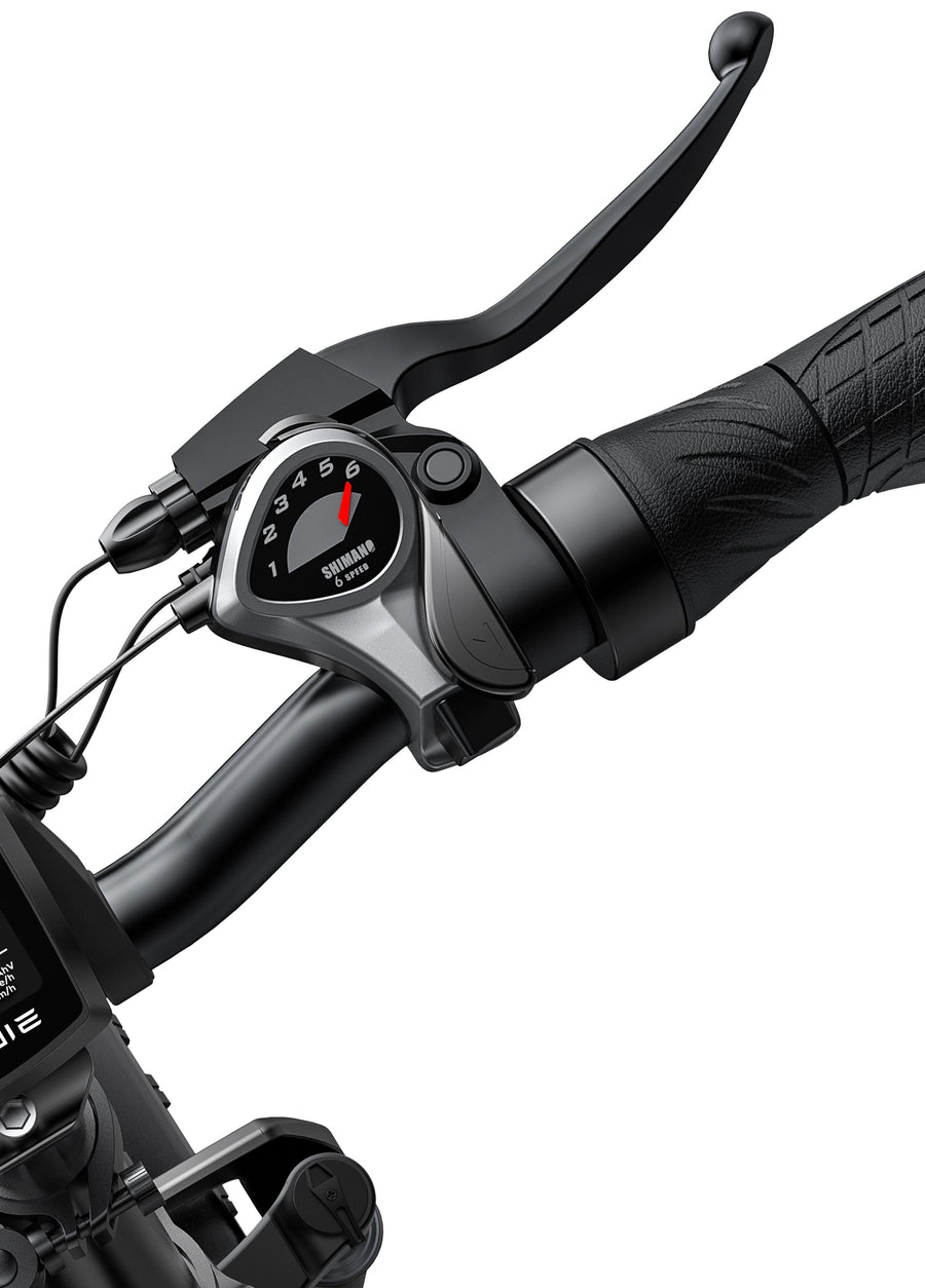 bicicleta electrica engwe argentina ep 2 pro