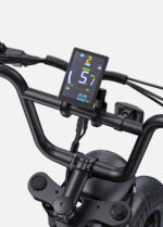 Engwe argentina bicicleta M1 single negro