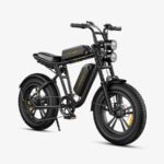 Engwe argentina bicicleta M20 negro bateria doble