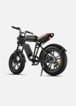Engwe argentina bicicleta M20 negro bateria doble