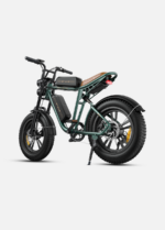 Engwe argentina bicicleta M20 verde bateria doble