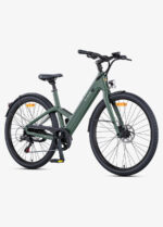 Engwe argentina bicicleta N1 Air THRU