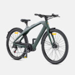 Engwe Argentina bicicleta N1 Pro